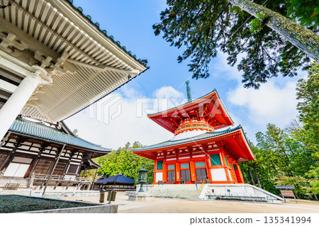 高野山、壇上伽藍、幹本大東 高野山、壇上伽藍、幹本大東 135341994