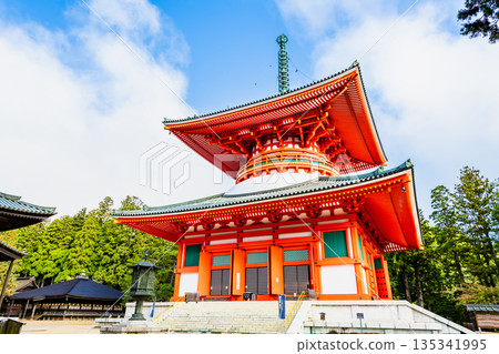 高野山、壇上伽藍、幹本大東 135341995