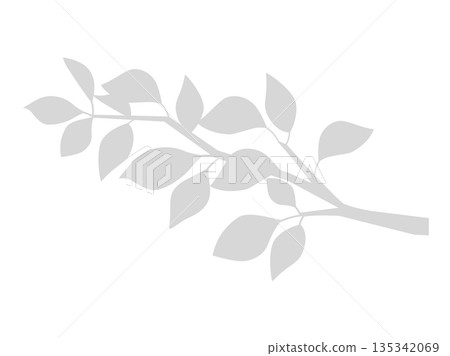 樹枝和樹葉的輪廓插圖 135342069
