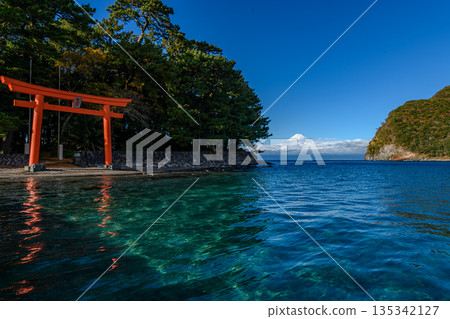 【壯麗景色】靜岡縣沼津市戶田町美濱岬諸口神社與富士山 135342127