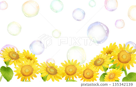 向日葵和肥皂泡 向日葵和肥皂泡 135342139