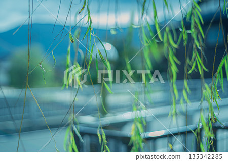 拍攝縐綢街道，這裡從江戶時代到明治時代和昭和初期，高品質的丹後縐綢在這裡蓬勃發展。 135342285