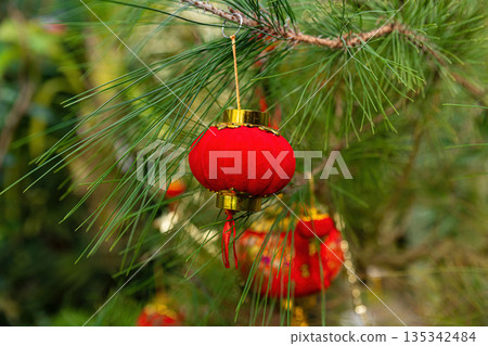 Single red lantern centered on pine branch close up. Festive Chinese New Year Lunar New Year Tet background with copy space for greeting card text Single red lantern centered on pine branch close up. Festive Chinese New Year Lunar New Year Tet background with copy space for greeting card text 135342484