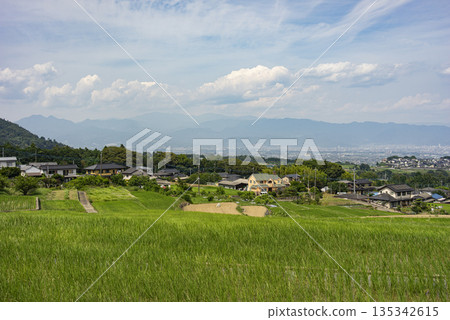 中野梯田和南阿爾卑斯城的城市景觀 135342615