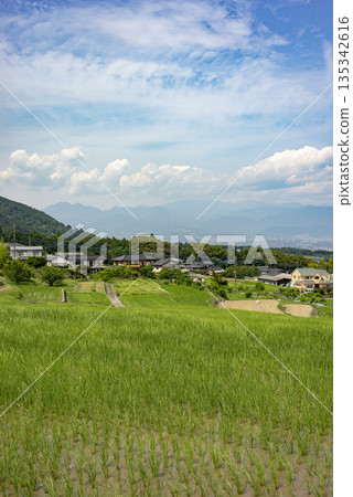 Nakano rice terraces and the cityscape of Minami Alps City Nakano rice terraces and the cityscape of Minami Alps City 135342616
