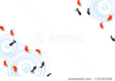 A minimalist Japanese-style illustration of goldfish and ripples on the water surface seen from above A minimalist Japanese-style illustration of goldfish and ripples on the water surface seen from above 135342908