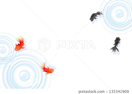 A minimalist Japanese-style illustration of goldfish and ripples on the water surface seen from above 135342909