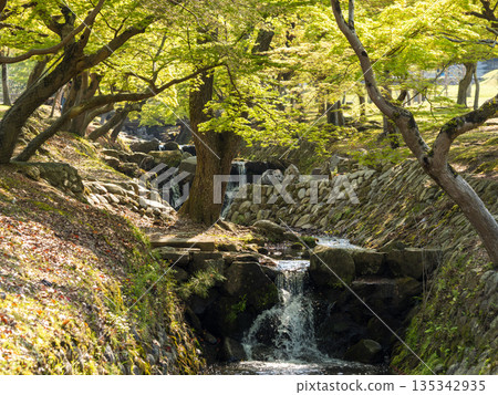 Yoshiki River flowing through Nara Park Yoshiki River flowing through Nara Park 135342935