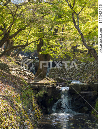 Yoshiki River flowing through Nara Park Yoshiki River flowing through Nara Park 135342936