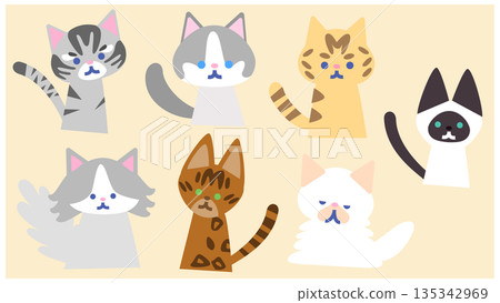 A cute character illustration set featuring various cats in full body poses A cute character illustration set featuring various cats in full body poses 135342969