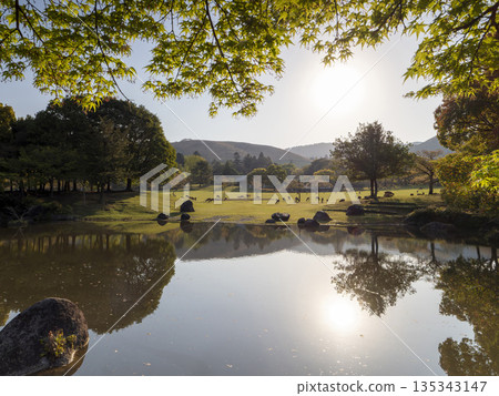 奈良公園春日之園地和一群鹿 奈良公園春日之園地和一群鹿 135343147