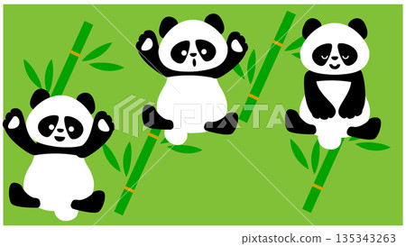 可愛的竹子和熊貓插圖 135343263