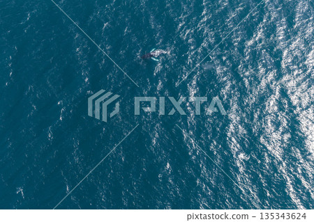 An aerial view captures a whale partially surfacing in a vast expanse of rippling deep blue ocean, with sunlight reflecting off the water's surface. An aerial view captures a whale partially surfacing in a vast expanse of rippling deep blue ocean, with sunlight reflecting off the water's surface. 135343624