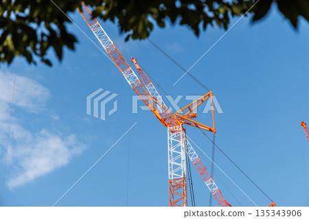 兩台紅白相間的建築起重機、樹木和藍天 135343906