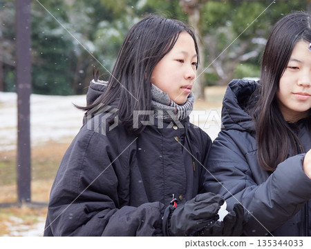 Two little sisters having fun playing a snowball fight in a snowy park on a winter morning 135344033