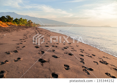 Footprints on a sandy beach at sunrise with natural light, footprints leading into the distance for vacation and travel stock photo Footprints on a sandy beach at sunrise with natural light, footprints leading into the distance for vacation and travel stock photo 135344152