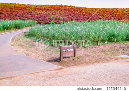 Path to Overlook Hill Path to Overlook Hill 135344340