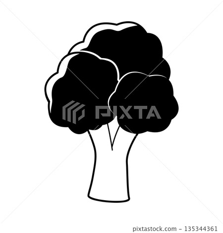 黑白青花菜簡筆畫 135344361