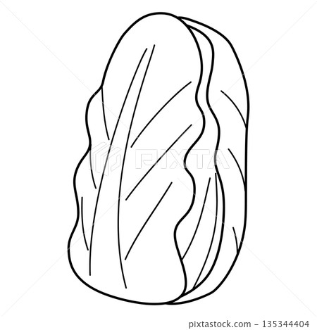 黑白簡筆畫大白菜插圖 135344404