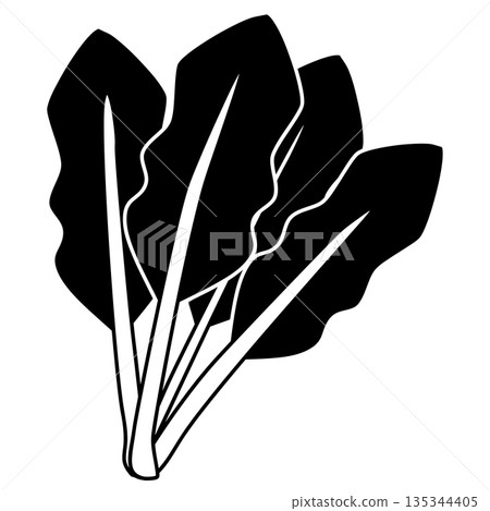 Simple spinach illustration in black and white Simple spinach illustration in black and white 135344405
