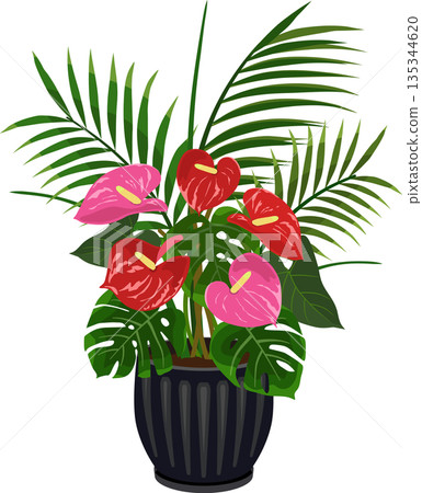 Tropical planting Tropical planting 135344620