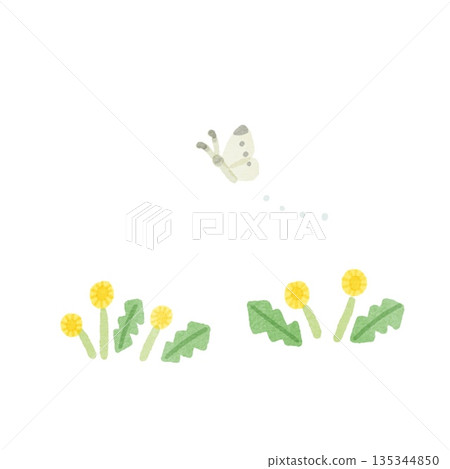 illustration of dandelion 135344850