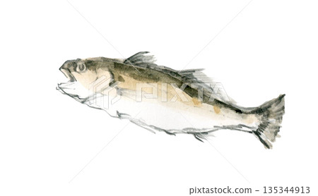 Left-facing rockfish 135344913