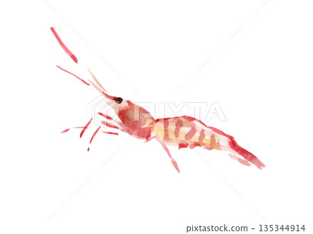 Red shrimp facing left Red shrimp facing left 135344914