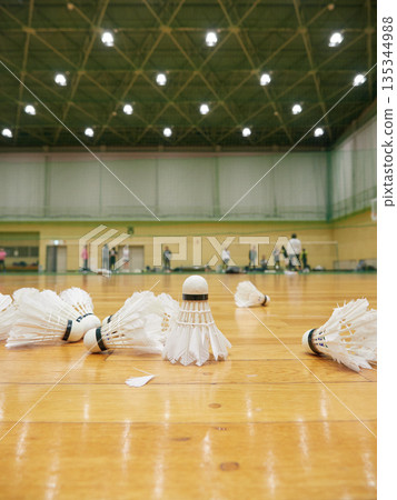 People practicing badminton in a gymnasium and a badminton shuttlecock 135344988