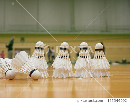 People practicing badminton in a gymnasium and a badminton shuttlecock People practicing badminton in a gymnasium and a badminton shuttlecock 135344992