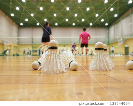 People practicing badminton in a gymnasium and a badminton shuttlecock People practicing badminton in a gymnasium and a badminton shuttlecock 135344994