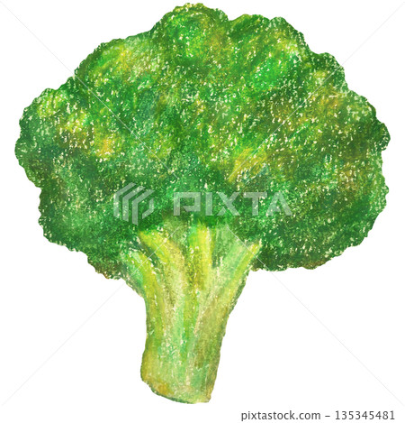 Broccoli illustration oil pastel drawing 135345481