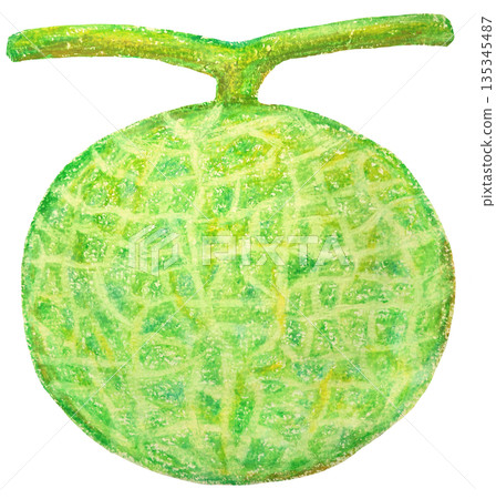 甜瓜插圖油畫棒繪畫 135345487