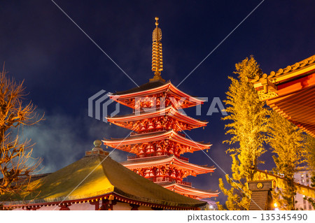 東京:新年假期期間,淺草寺人潮湧動 東京:新年假期期間,淺草寺人潮湧動 135345490