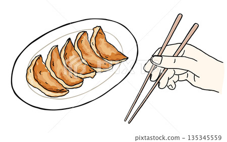 Gyoza hand-drawn illustration of a hand holding chopsticks Gyoza hand-drawn illustration of a hand holding chopsticks 135345559