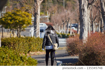 冬日的清晨，一位中年家庭主婦在公園的步道上遛狗。 135345748