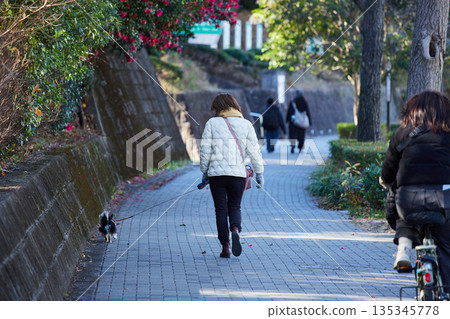 A middle-aged woman walking her dog in the city on a winter morning A middle-aged woman walking her dog in the city on a winter morning 135345778