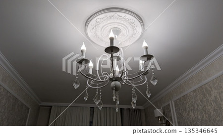 Ornamental light fixture with decorative ceiling embellishments 135346645