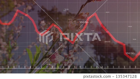Showing red line graph over branch with pink blossoms in orchard, with grid and numbers Showing red line graph over branch with pink blossoms in orchard, with grid and numbers 135347128