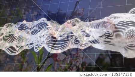 Flowing white data wave traveling across orchard sky, with 3D grid overlay and pink flower branch 135347138