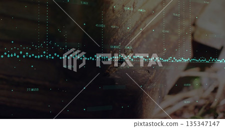 Displaying green data points overlaying weathered wooden beam in garden, with dry leaves and twigs 135347147