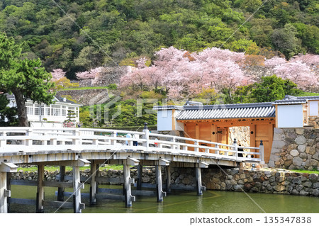 【鳥取縣】鳥取城遺址（久松公園義保州橋）櫻花盛開 135347838