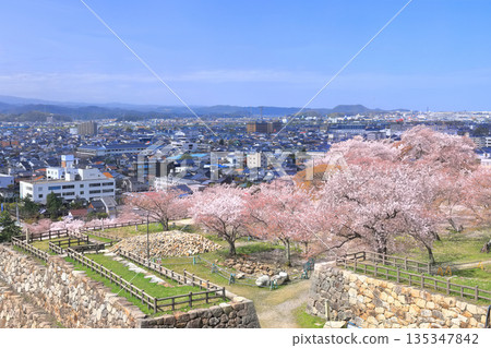 [鳥取縣] 從鳥取城看櫻花盛開和鳥取市（九州公園） 135347842