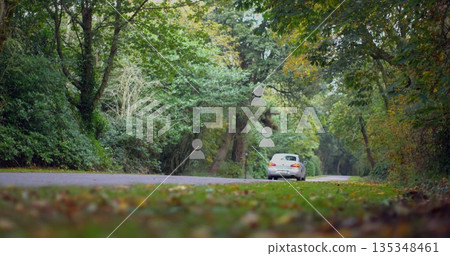 Driving white sedan following winding paved rural forest road, with fallen leaves on grass verge 135348461