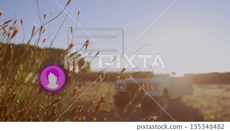 Backlighting grass seed heads in golden sun at grassy field, white vehicle, UI elements, copy space Backlighting grass seed heads in golden sun at grassy field, white vehicle, UI elements, copy space 135348482