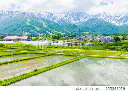 長野縣白馬村初夏時節：稻田正值插秧季節，白馬山脈仍殘留積雪。 135348959