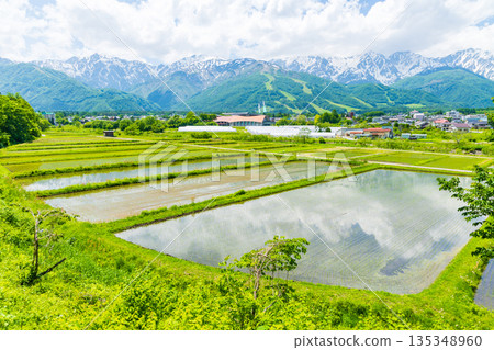 長野縣白馬村初夏時節：稻田正值插秧季節，白馬山脈仍殘留積雪。 135348960