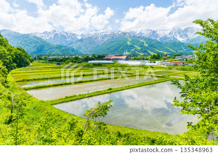 長野縣白馬村初夏時節：稻田正值插秧季節，白馬山脈仍殘留積雪。 135348963
