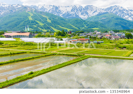 長野縣白馬村初夏時節：稻田正值插秧季節，白馬山脈仍殘留積雪。 135348964