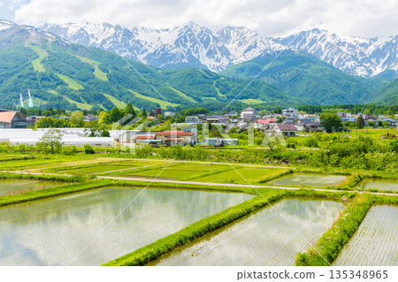 長野縣白馬村初夏時節：稻田正值插秧季節，白馬山脈仍殘留積雪。 135348965
